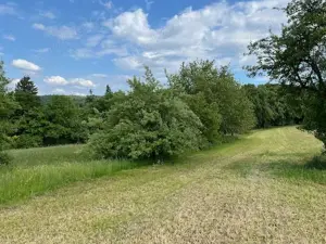 Streuobstwiese in Pforzheim, OT Würm. 570 m 