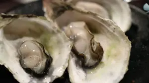 Lust deine Muschi richtig schön oral verwöhnen zu lassen? Dann bist du hier genau richtig!