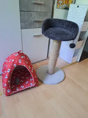 Katzenzubehör 