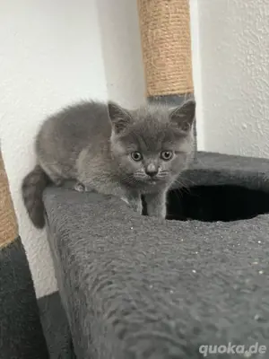 1 BKH Kitte Mädchen