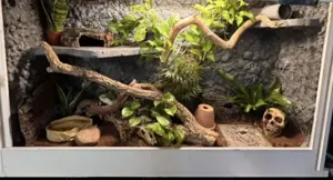 Terrarium Kunststoff Rückwand groß 140m 