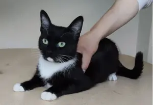 CALCETA- sozial, selbstbewusst, verspielt Bild 3