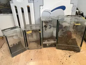 Falltür Terrarium in verschiedenen Größen zu verkaufen 