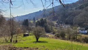 Offenstallplatz in Herdenhaltung ab sofort frei