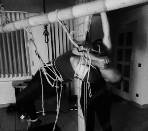 Shibari, Kinbaku, Seilbondage, Fesseln, Bondage 