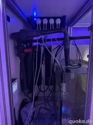Meerwasseraquarium Bild 2