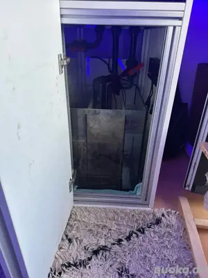 Meerwasseraquarium Bild 5