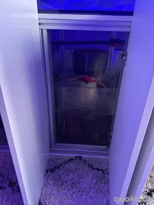 Meerwasseraquarium Bild 4