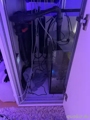 Meerwasseraquarium Bild 3