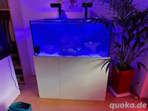 Meerwasseraquarium