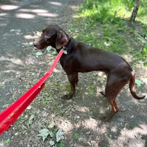 Luna - kinderlieb 