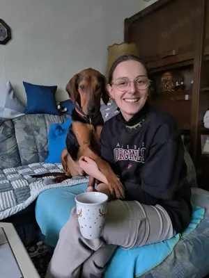 Noah   Mailo Bracke Mischling Rüde sucht Zuhause für immer Bild 9