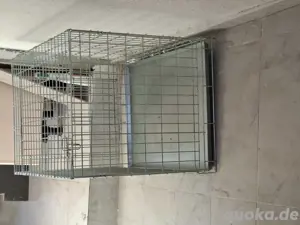 Hunde Box 