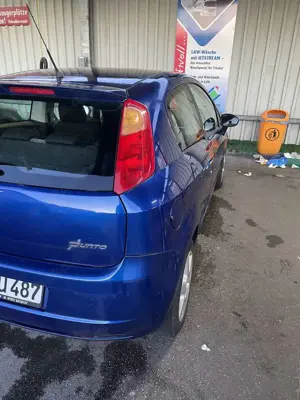 Fiat Punto 1.2 8V Classic Bild 5