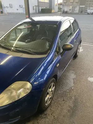 Fiat Punto 1.2 8V Classic Bild 4