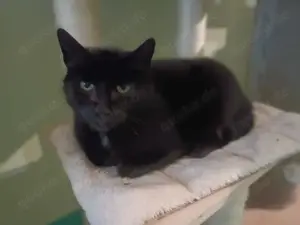 Livia - sucht Kuschelmenschen