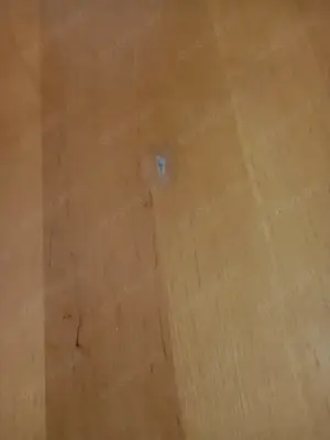 Großer ausziebarer Tisch , Buche Bild 7