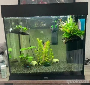 Juwel Lido 120 l