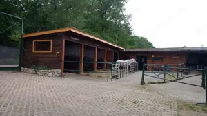 Paddockbox Innenbox Außenbox
