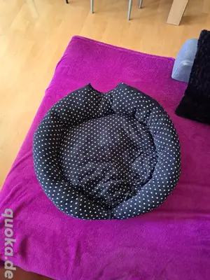 Hundebett 