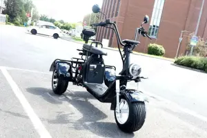 Coco Bike E-Trike E-Scooter CP3.1 - 2000W - 40Ah Li-Ion - bis zu 48 km h - ca. 100 km Reichweite