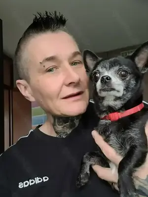 Chihuahua Kurzhaar Mädchen 