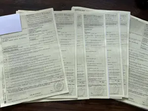 Griechische Landschildkröten