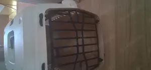 Transports für katzen abzugeben
