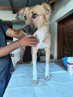 Bezaubernde Eny ist auf der Suche nach ihrer Familie Bild 3