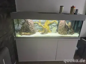 450l Aquarium mit viel Zubehör
