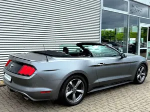 Ford Mustang Cabrio Bild 2