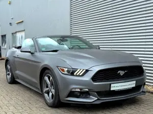 Ford Mustang Cabrio Bild 3