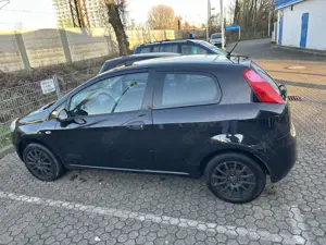Fiat Punto Evo 1.2 8V Easy Bild 2