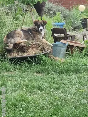 Ich bin so einsam wo bist Du nur?