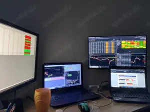 Forex Coaching auf Profi-Niveau   Lerne Handeln wie Banken & Hedgefonds
