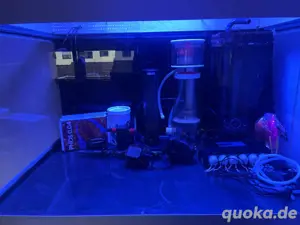 Meerwasseraquarium