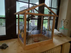 Ein Pärchen Wellensittiche mit schönem Käfig