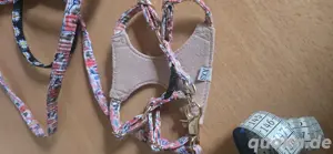 Gurt xxs Chihuahua