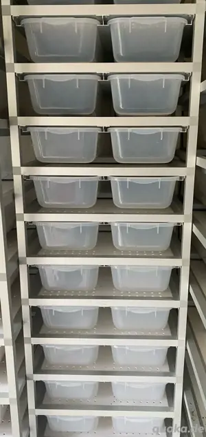 Rack, Aluracks V18 mit 30 Boxen, Aufzuchtrack, Reptilien
