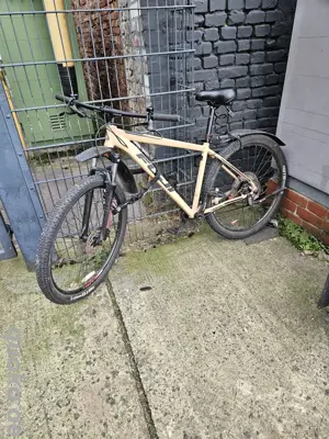 Fuji Nevada 29 Zoll