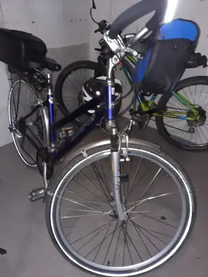 Damen-Fahrrad Campus