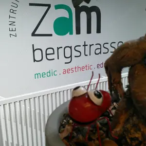 Schöner Praxisraum für Heilpraktiker in zu vermieten
