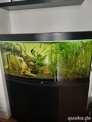 Aquarium juwel komplett 