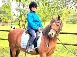 Suche Reitbeteiligung