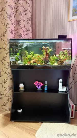 Aquatium mit Unterschrank