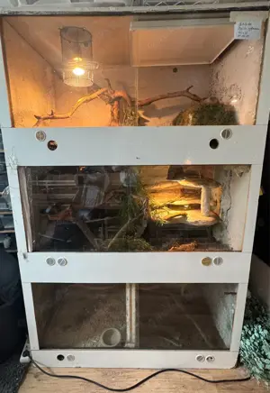 3er Terrarium Turm abzugeben