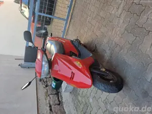 rex roller 50 