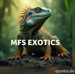 wathsapp gruppe 