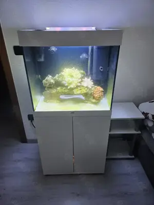 Juwel Lido 120 Meerwasseraquarium Komplettset