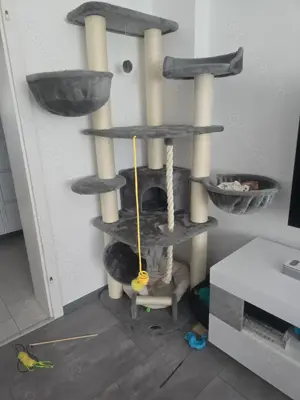 Katzen Zubehör. Guter Zustand!